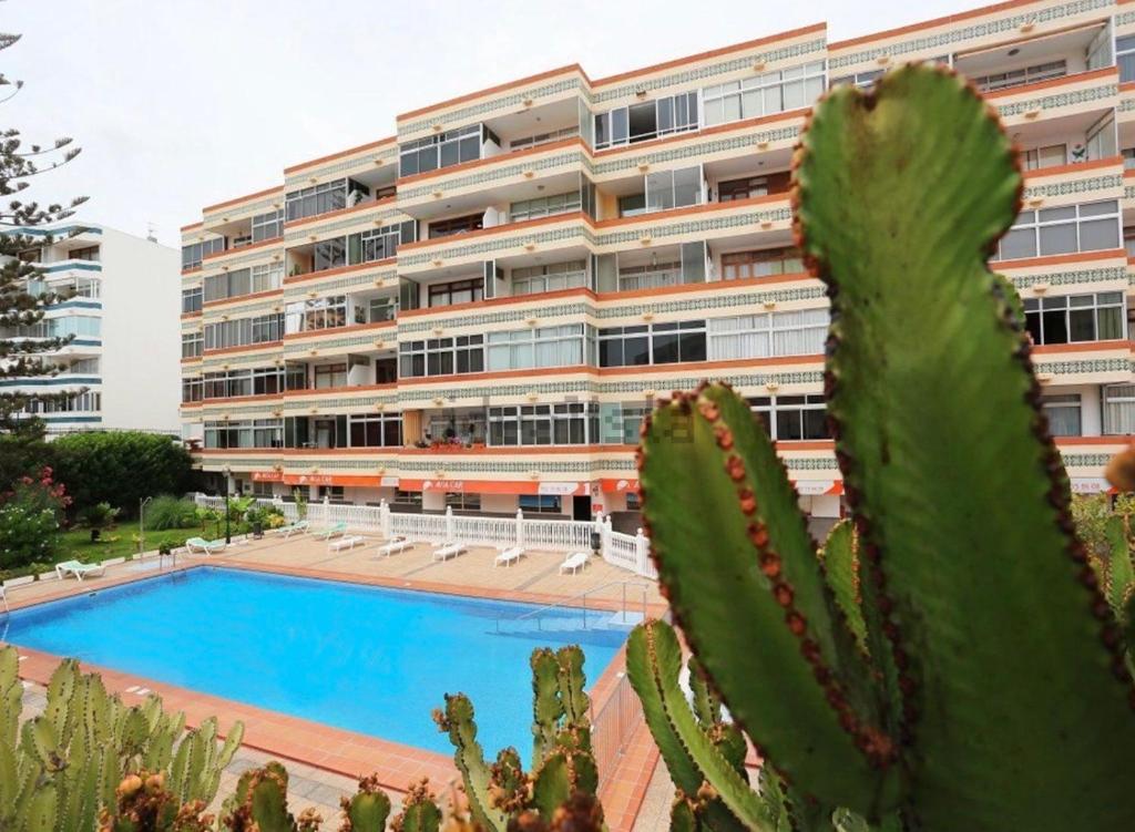 Bazén v ubytování Calm, Cosy and Bright apartment renovated in playa del ingles- WiFi free nebo v jeho okolí