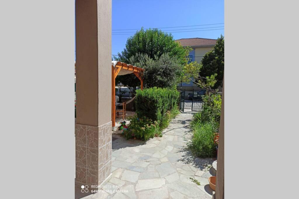 Ogród w obiekcie Άνετη διαμονή στο κέντρο της Ανατολής
