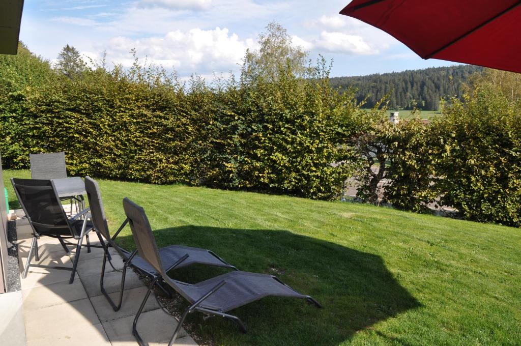 Příroda nedaleko apartmánu