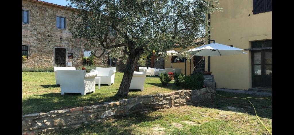 un grupo de sillas blancas y un paraguas junto a un árbol en Agriturismo La Posta Reale, en Castiglion Fibocchi