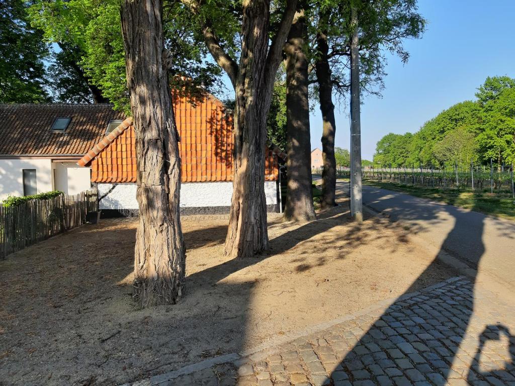 Fotografie z fotogalerie ubytování Lemen huis Houwaart v destinaci Tielt
