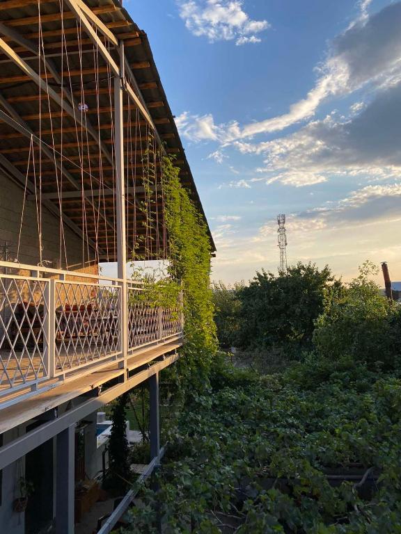 Zahrada ubytování Artson B&B Vagharshapat