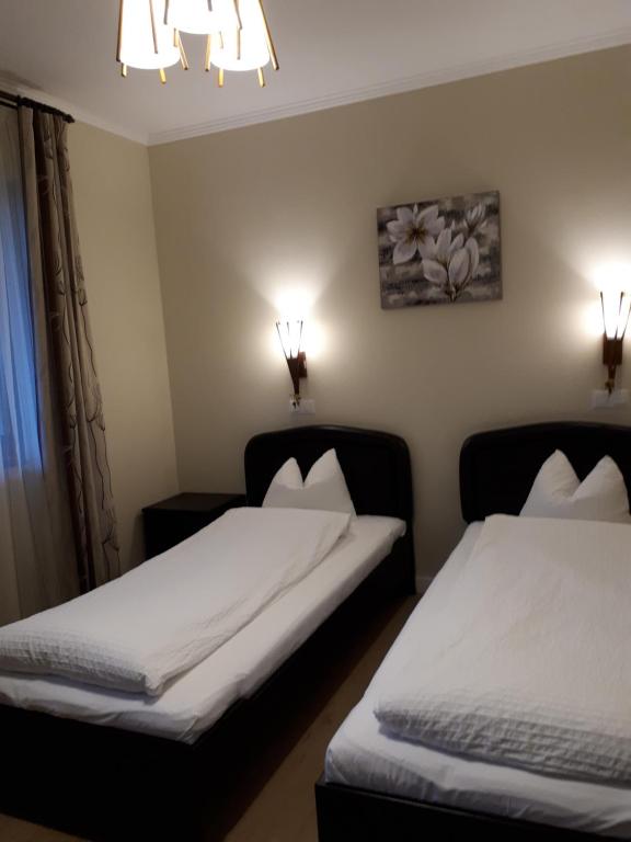 Transylvania Villa & Spa - 8