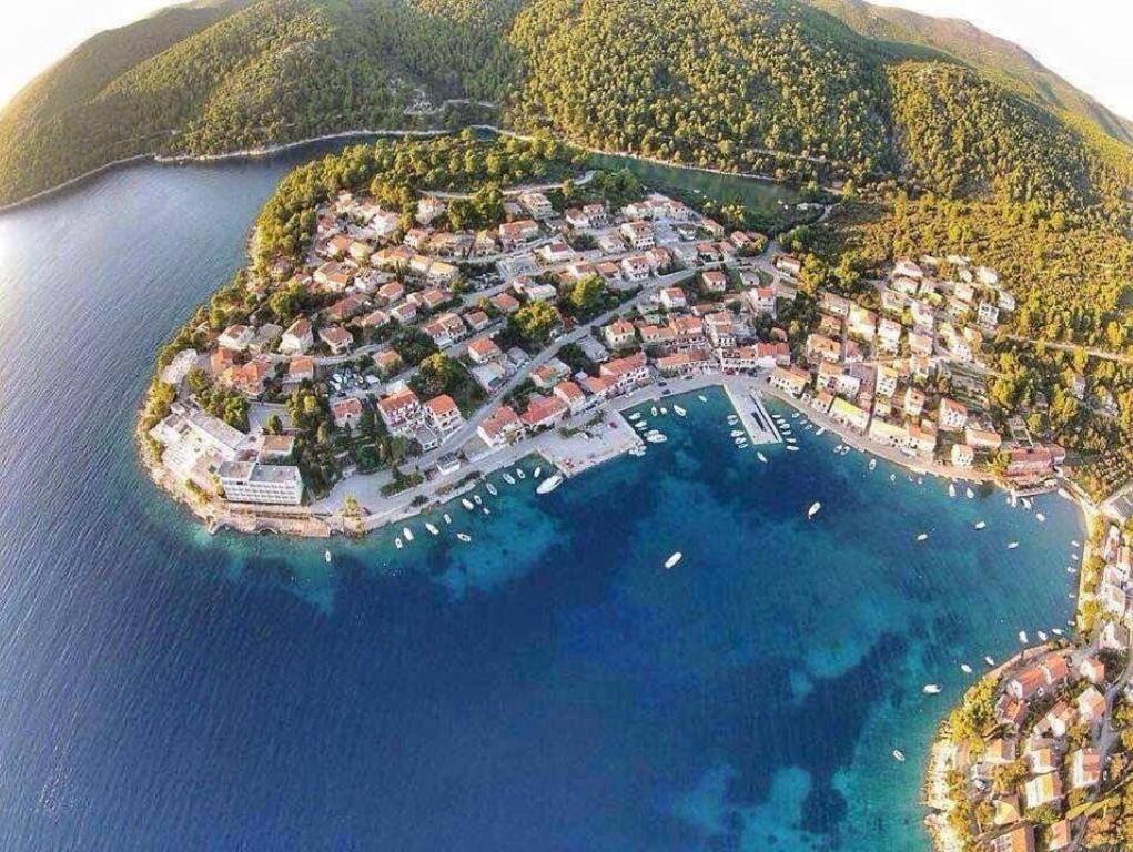 una vista aérea de una pequeña isla en el agua en Apartman uz more en Brna