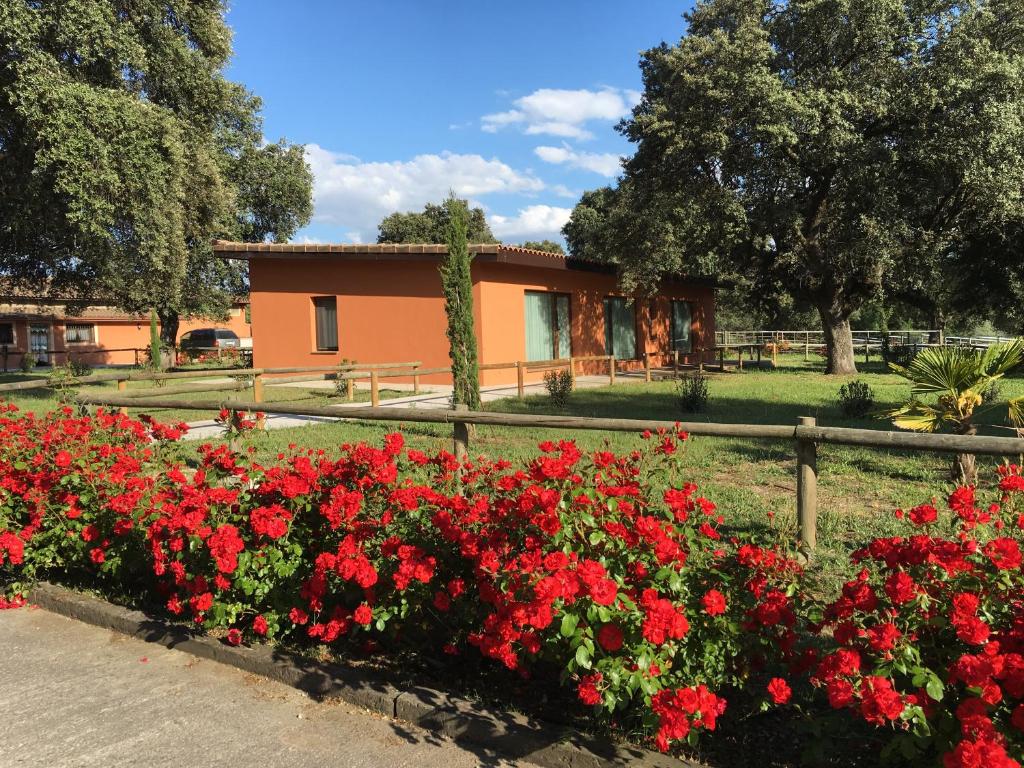 Zahrada ubytování Finca Casaes Apartamentos
