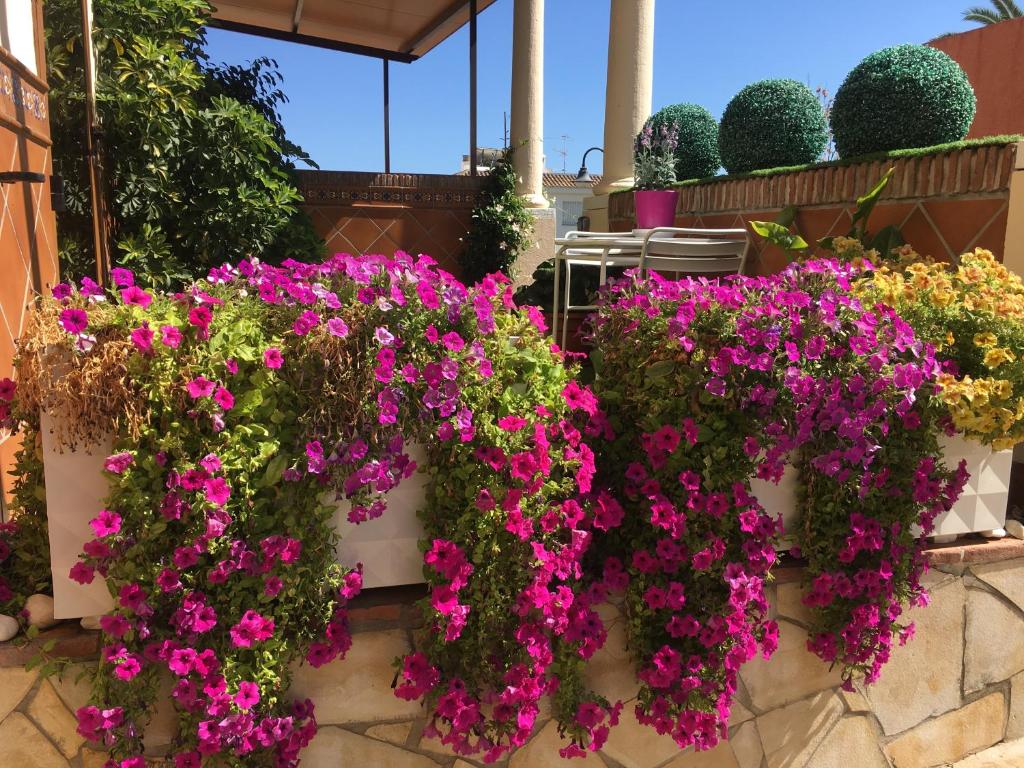 Ein Haufen lila Blumen an der Wand in der Unterkunft Apartment with private patio in Fuengirola