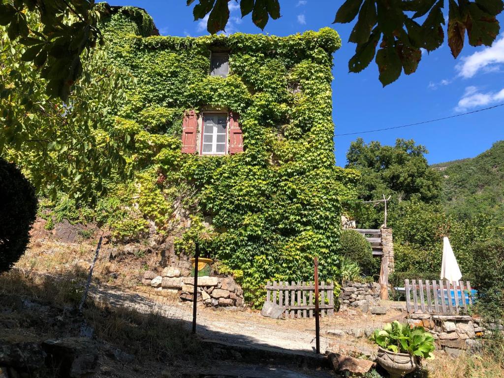 a building covered in ivy with a window at La Calade de Craysoules in Bassurels