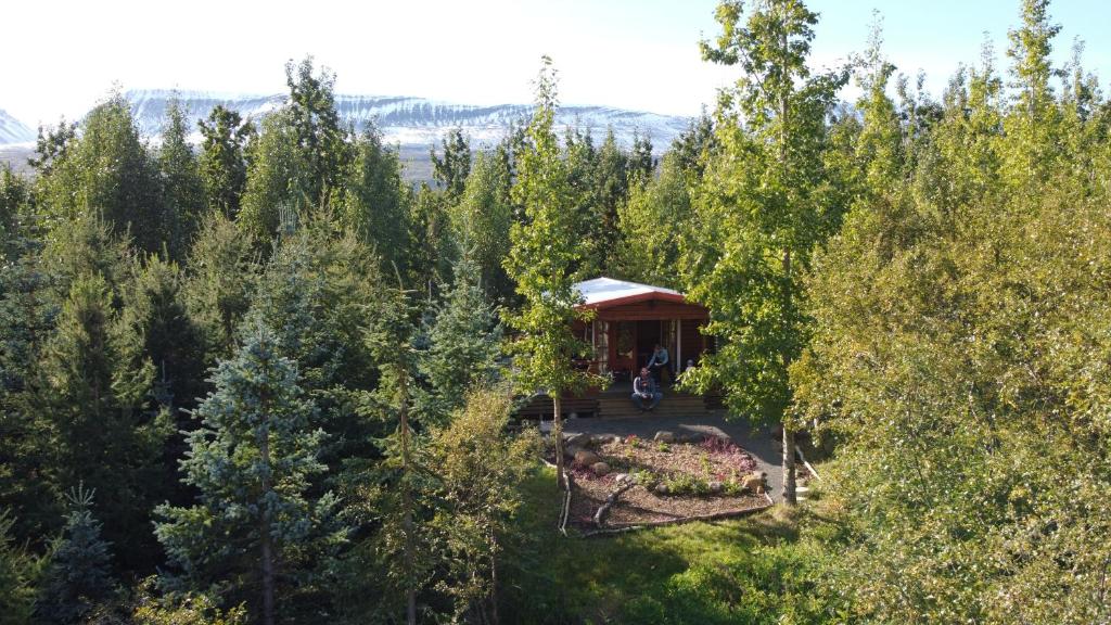 an aerial view of a gazebo in a forest at Bakkakot 1 - Cozy Cabins in the Woods in Akureyri