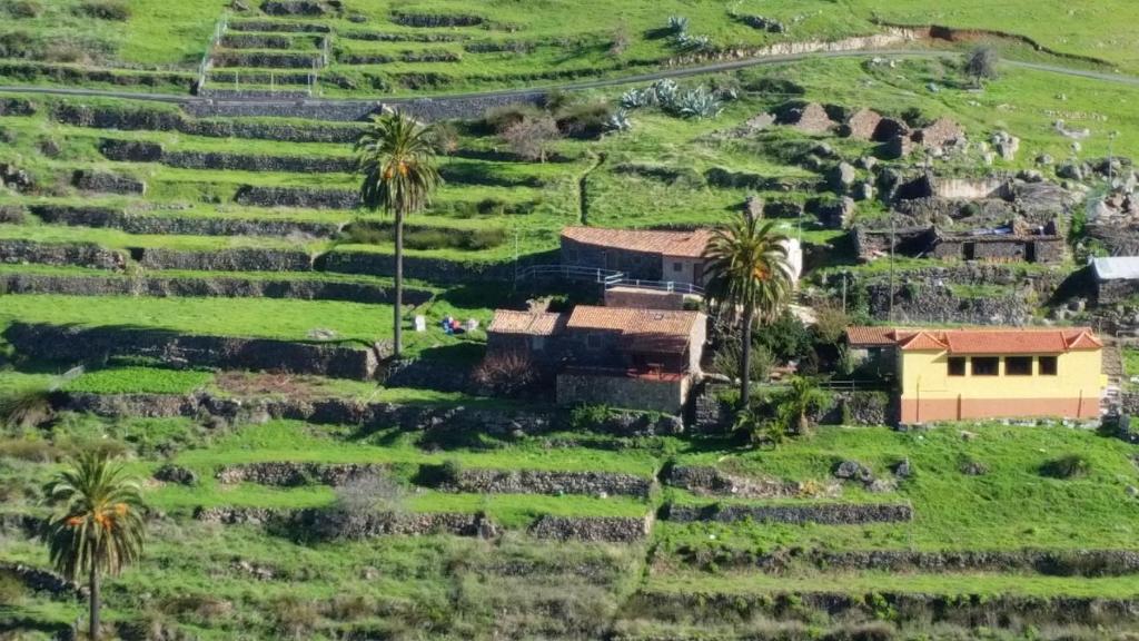 z góry widok na wioskę na wzgórzu z palmami w obiekcie Casas Rurales Los Manantiales w mieście El Cercado