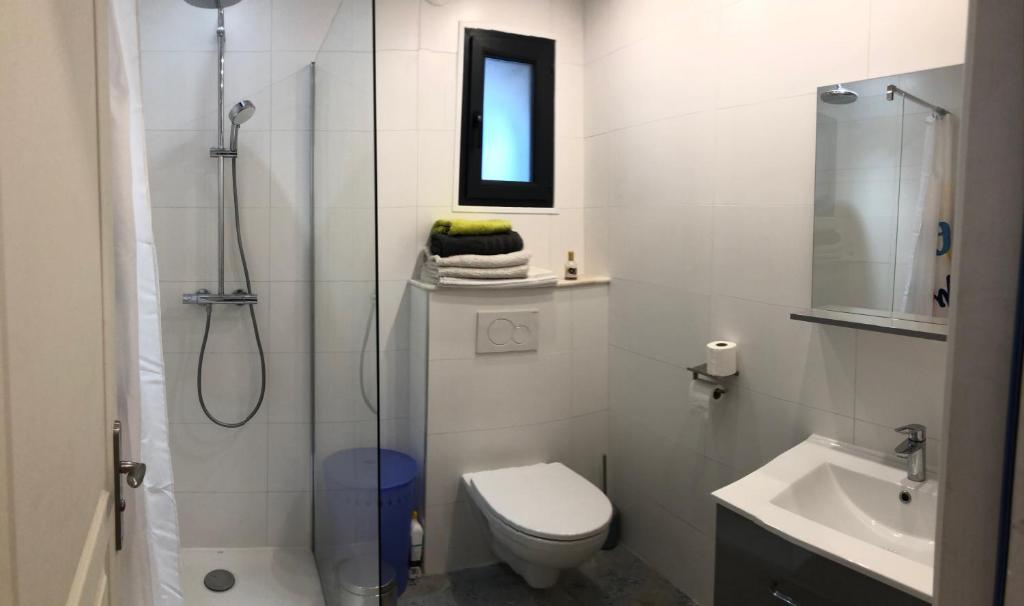 a bathroom with a shower and a toilet and a sink at Maison au centre d&#39;un village typique in Omessa