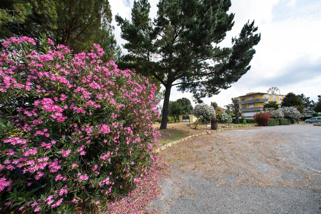 Zahrada ubytování Hotel Sabatino