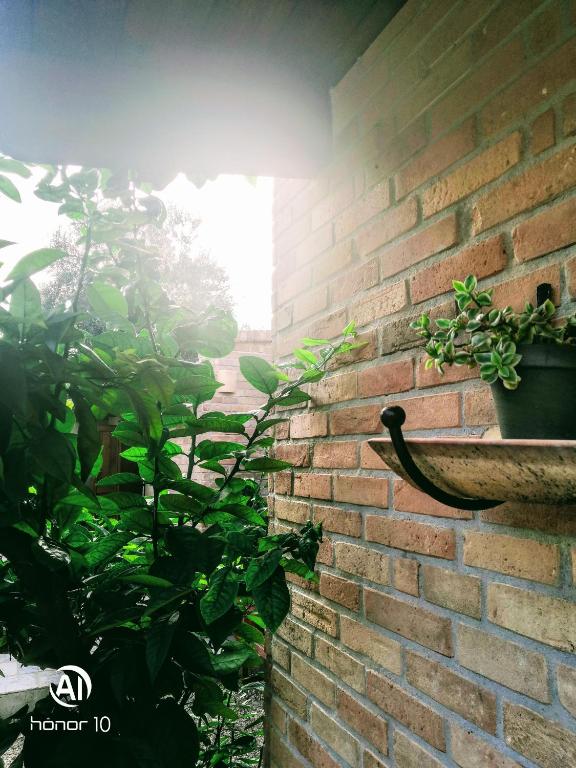 Zahrada ubytování BORGO LUNA b&b