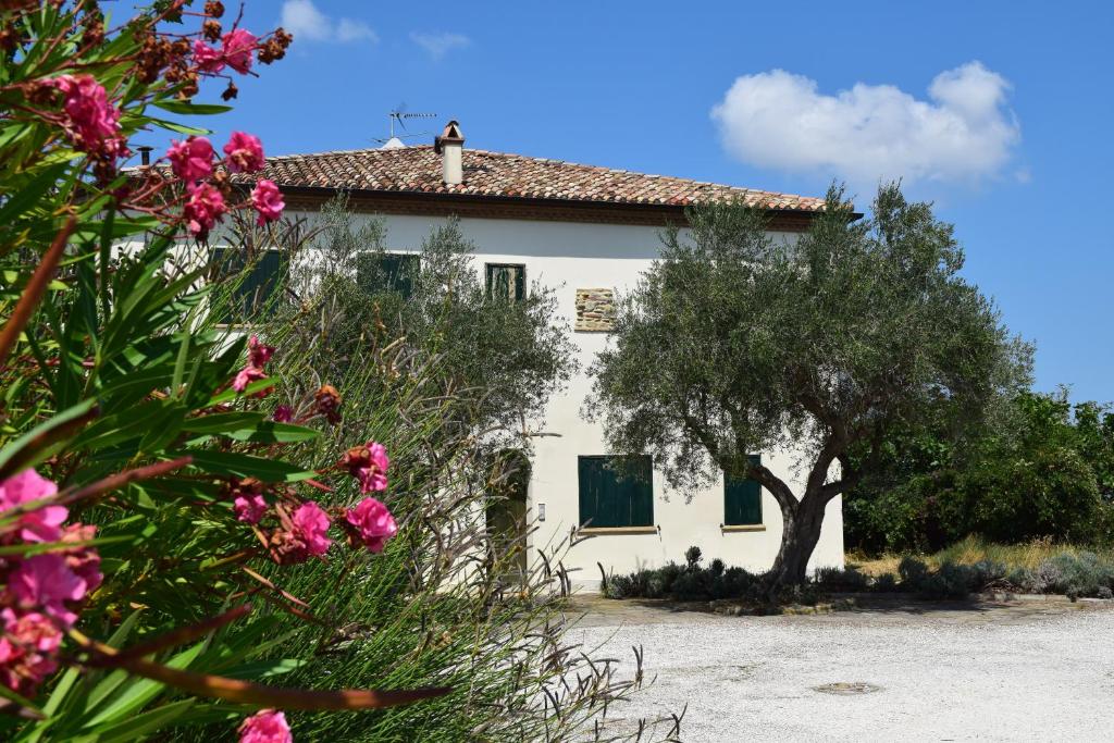 uma casa branca com uma árvore e flores cor-de-rosa em Borghetto Country Apartments em Saludecio