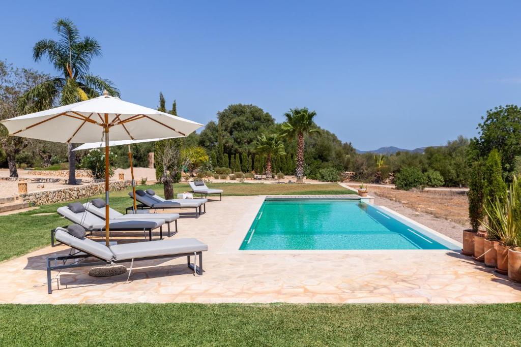 塞薩利內斯的住宿－Finca El Retiro，一个带躺椅和遮阳伞的游泳池
