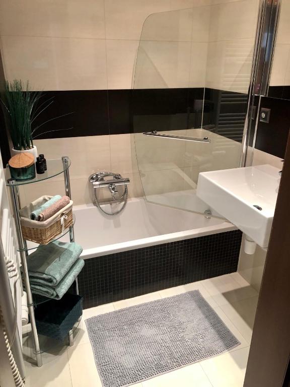 Koupelna v ubytování Apartmán SUZANNE