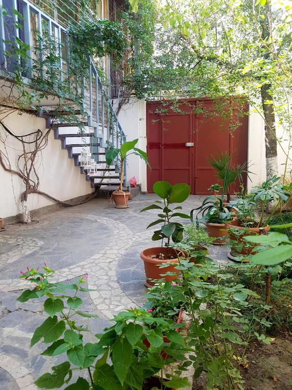 Zahrada ubytování Armine's B&B