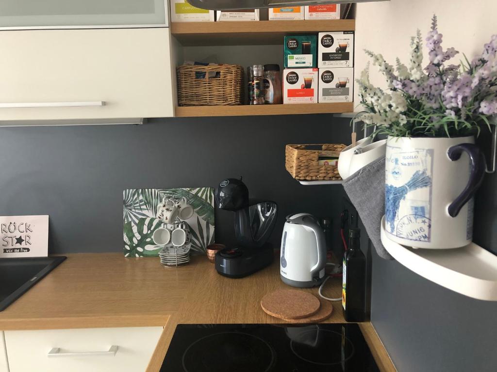 Kuchyň nebo kuchyňský kout v ubytování Apartmán SUZANNE