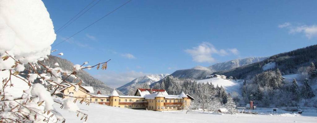Hotel Waldesruh v zimě