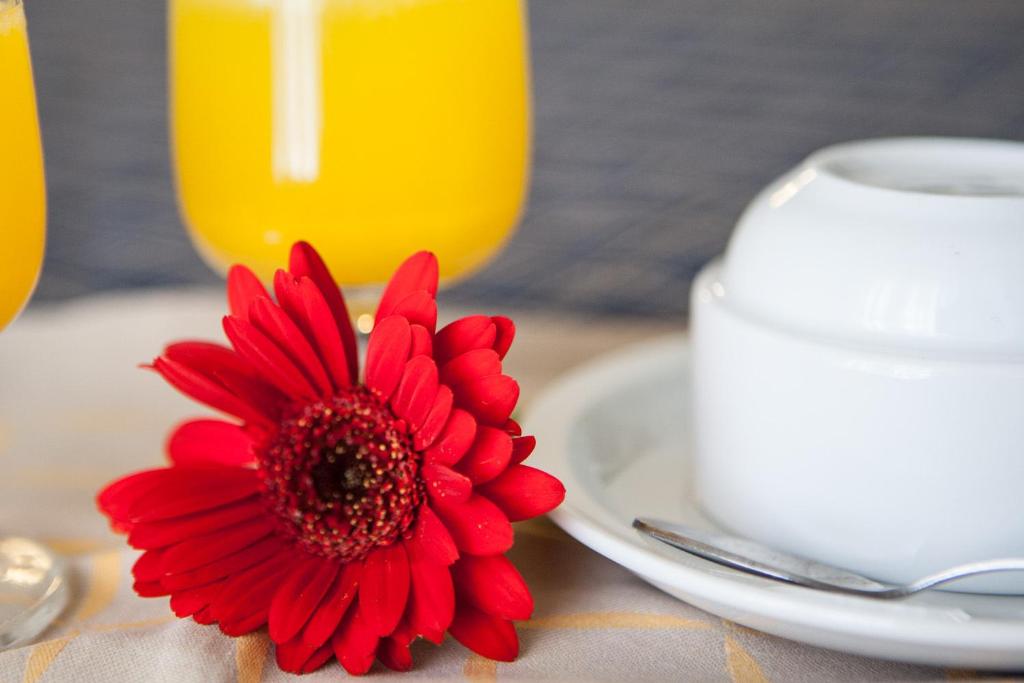 AUTO PARK Hotel - Resim 37