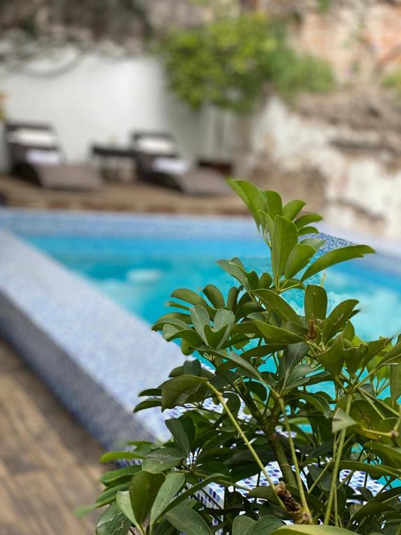 Bazén v ubytování Hotel Boutique Hacienda Guadalupe nebo v jeho okolí