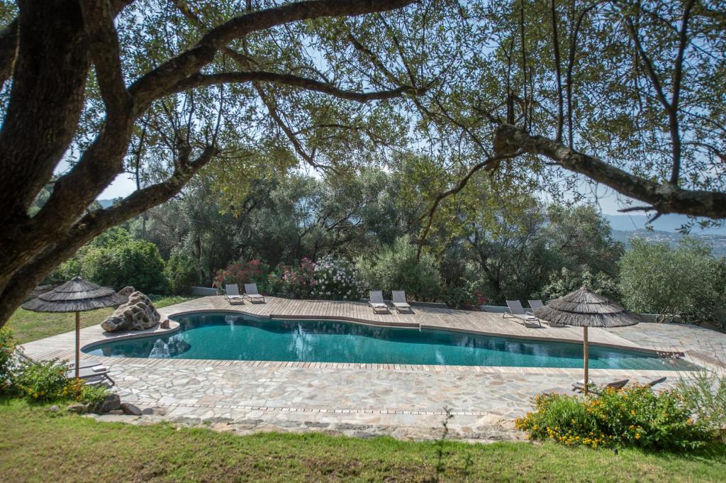 uma piscina com cadeiras e guarda-sóis num quintal em Residence Piatana em Olmeto