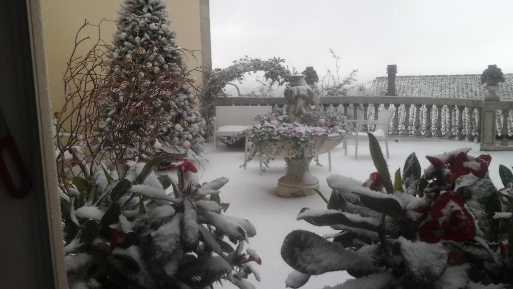 Villa Di Miscio v zime