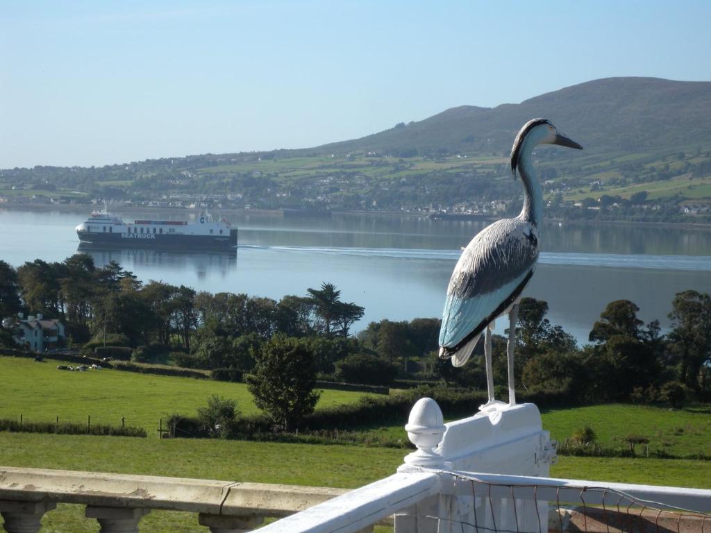 a bird standing on a railing overlooking a body of water at Seaview Guesthouse in Rostrevor