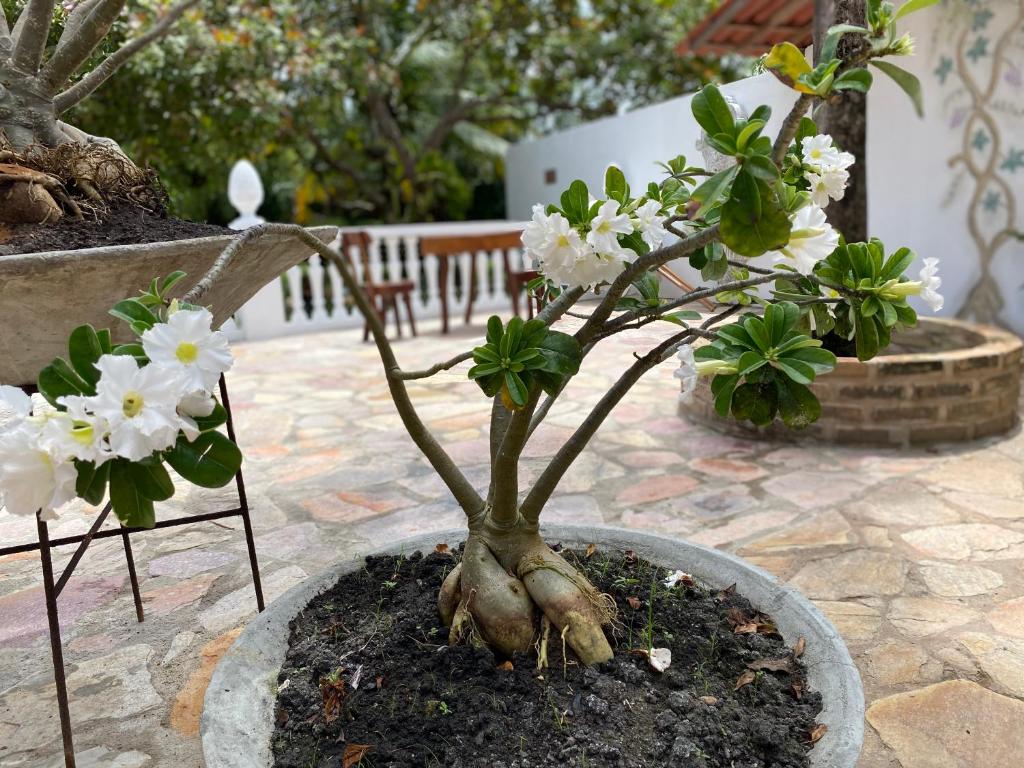  AQUALUNA POUSADA
