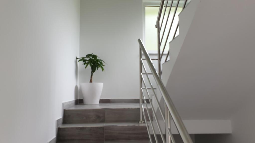 Apartmani Šalković - 7