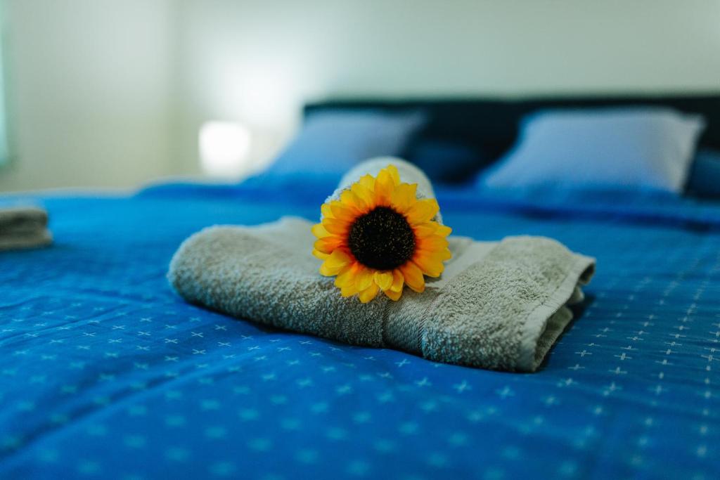 Voodi või voodid majutusasutuse Sunflower toas