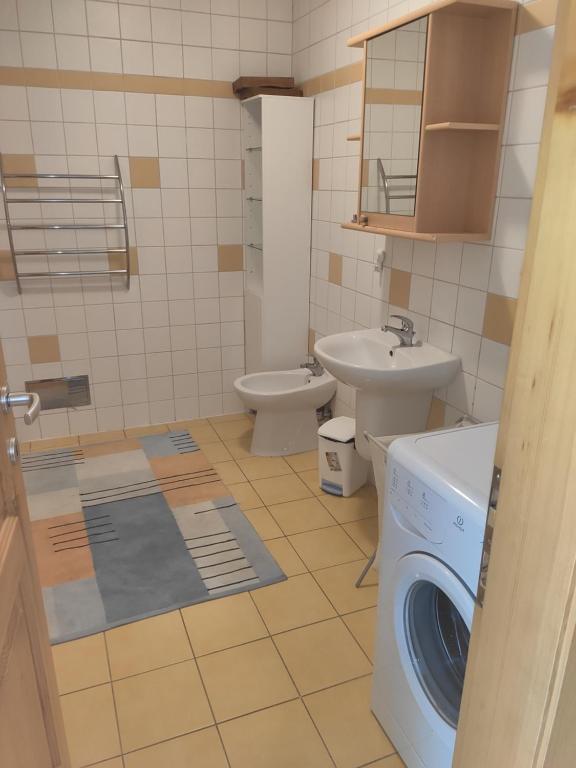 Koupelna v ubytování Lipno Riviéra - Myši v botě