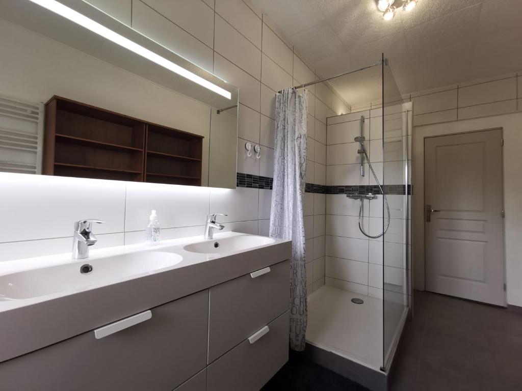 une salle de bain avec deux lavabos et une douche dans l'établissement 6 personnes, neuf & cosy, centre - gare, à Mulhouse