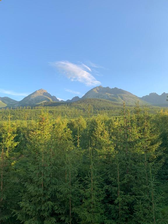 ein Berg in der Ferne mit Bäumen im Vordergrund in der Unterkunft Apartment No.35 in Vysoke Tatry - Horny Smokovec