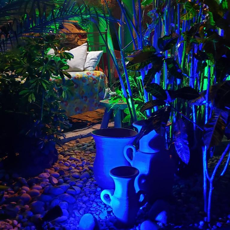 Pousada das Orquídeas