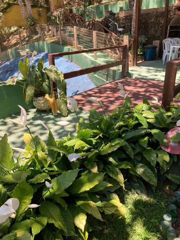  Apartamento em Guaramiranga