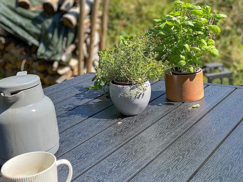 Zahrada ubytování 4 person holiday home in Læsø-By Traum