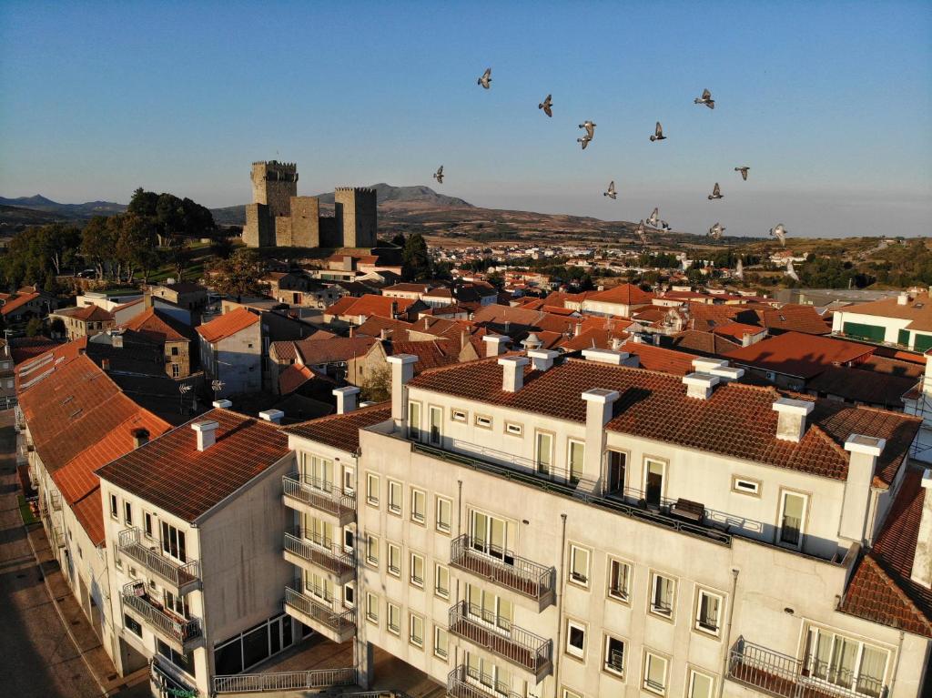 um grupo de aves que sobrevoam uma cidade com edifícios em Casa Machado em Montalegre