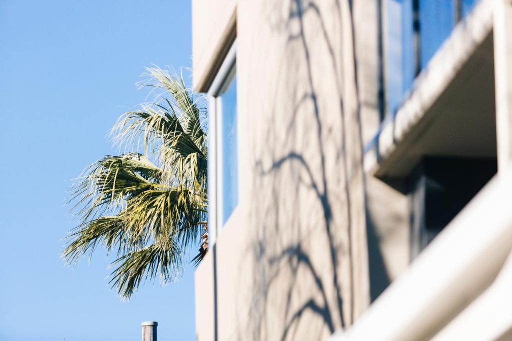 Haven Glebe - Resim 20