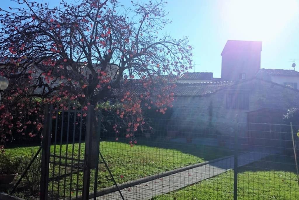 Ogród w obiekcie La Casa di Lucia - Firenze