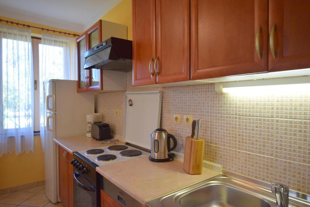 Kuchyň nebo kuchyňský kout v ubytování Apartment Anica