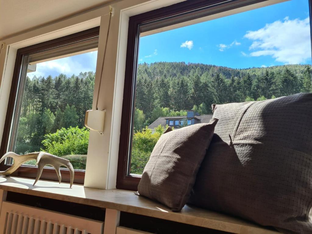 d'une fenêtre avec vue sur la montagne. dans l'établissement GP Ferienwohnung, à Goslar