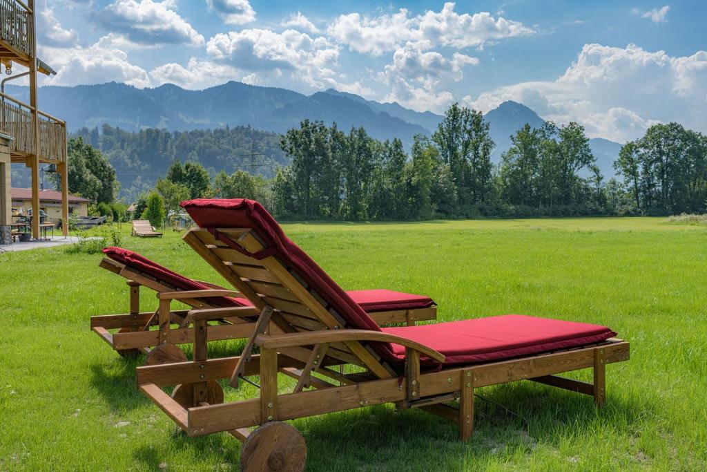 Příroda nedaleko apartmánu
