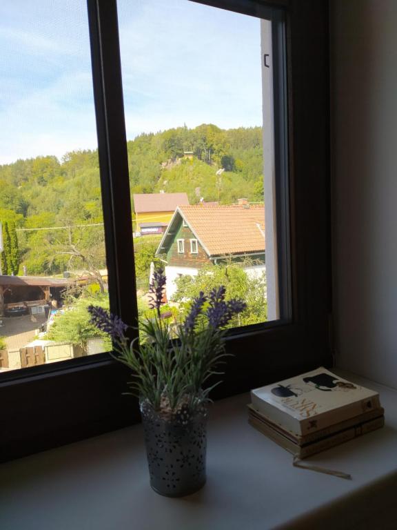 Nespecifikovaný výhled na hory nebo výhled na hory při pohledu z aparthotelu