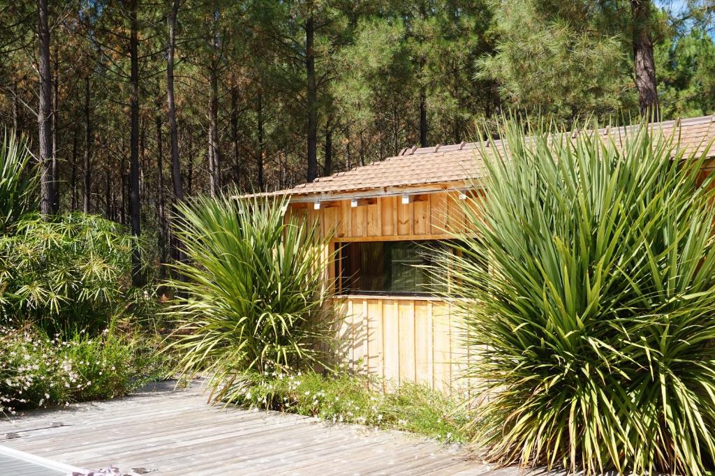 a house with a fence and some plants at Vacances Océan Maison bois Lège Cap Ferret 1-4p in Lège-Cap-Ferret