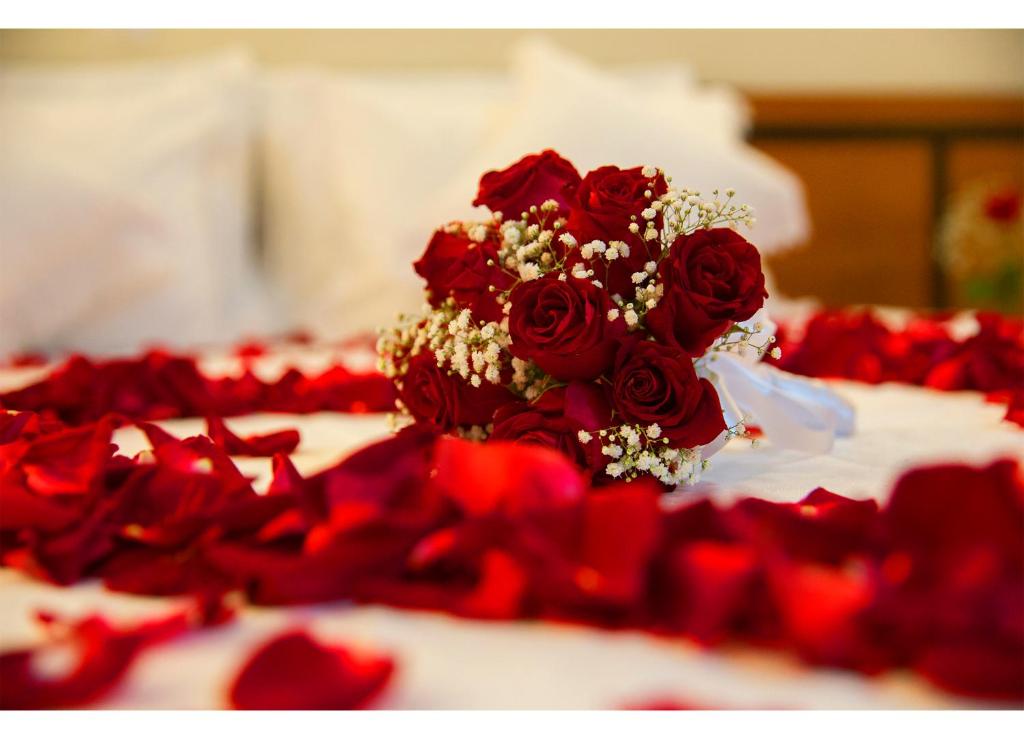  Leques Brasil Hotel Escola