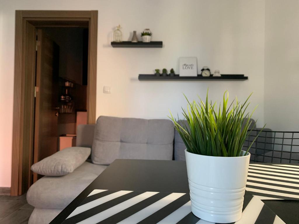 Et sittehjørne på Apartman Spring
