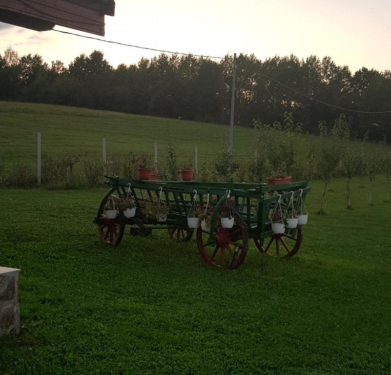 Zahrada ubytování Cabana Dopca