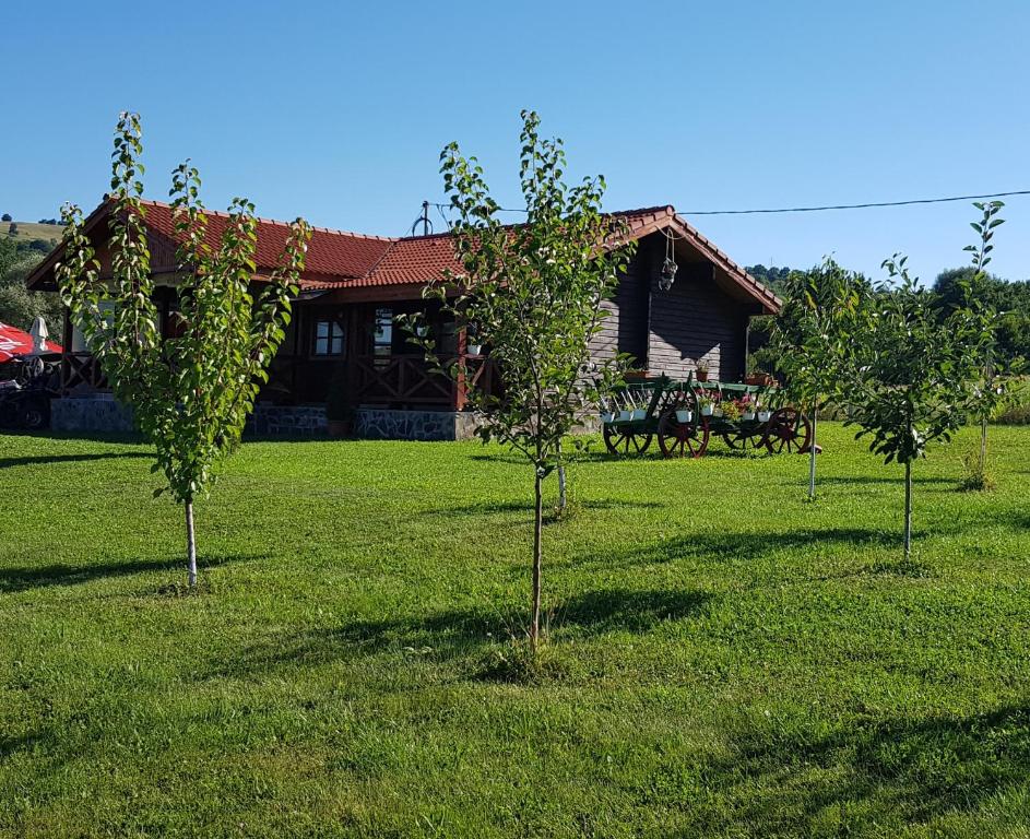 Zahrada ubytování Cabana Dopca