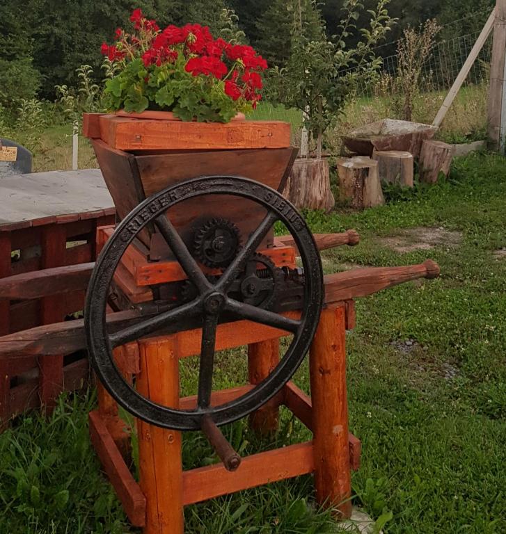 Zahrada ubytování Cabana Dopca