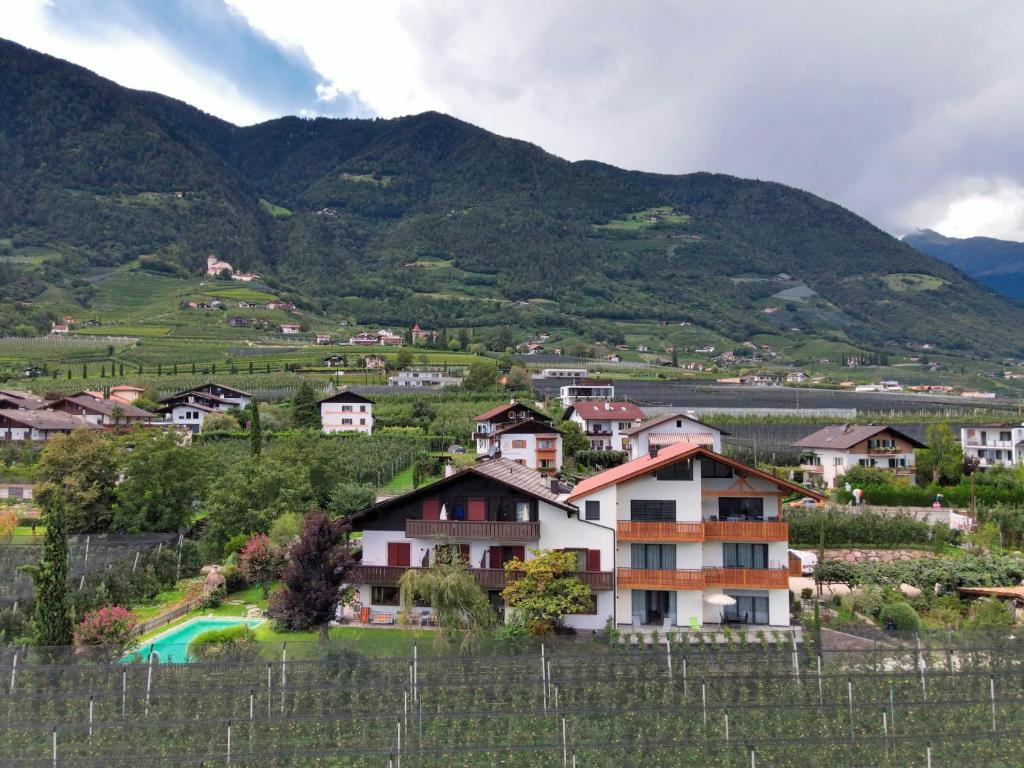 a village in a vineyard with a mountain at Pension Georgenhof in Cermes